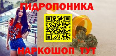 шишки Краснодар