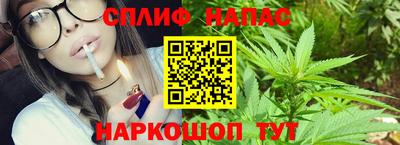 шишки Краснодар