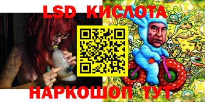 шишки Краснодар