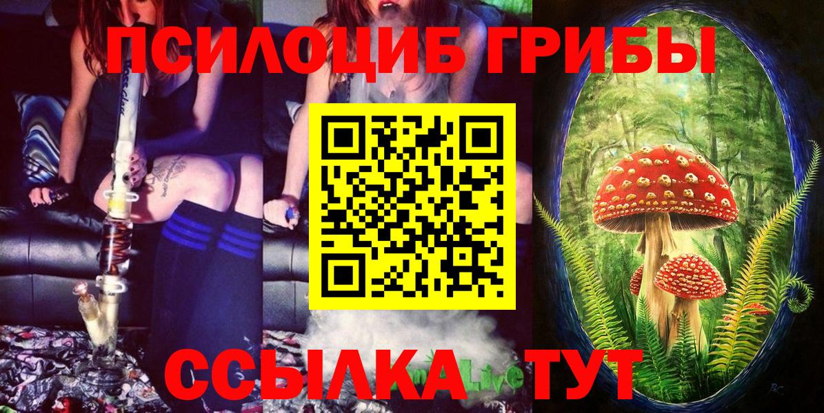 Псилоцибиновые грибы Cubensis  продажа наркотиков  Галлюциногенные грибы GOLDEN TEACHER  Иваново  Вход с VPN 