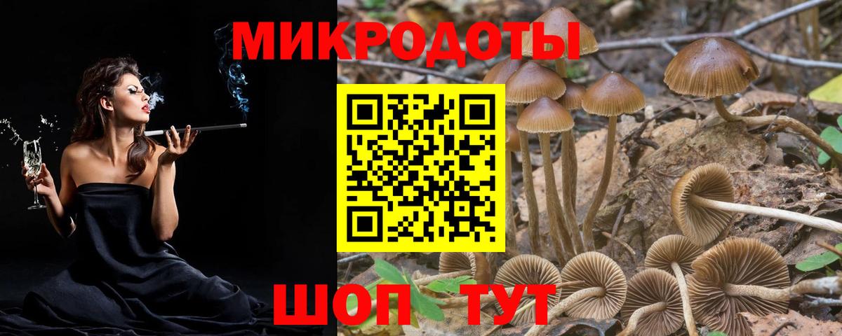 Галлюциногенные грибы GOLDEN TEACHER Иваново
